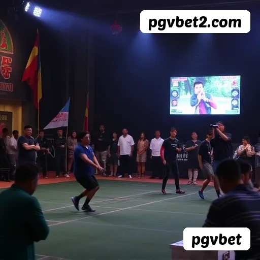 Bônus exclusivos membros VIP pgvbet